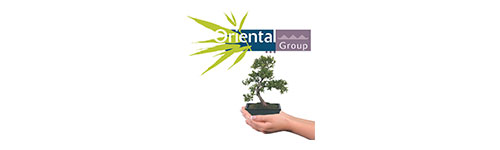 Oriental Group